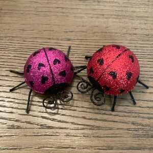 Valentine’s Ladybugs